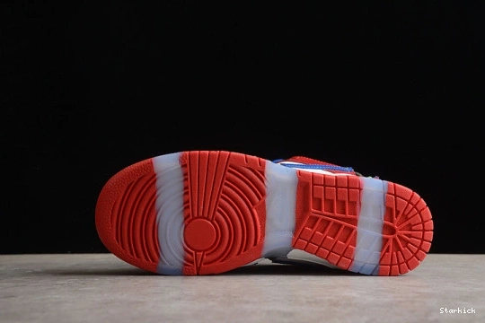 Dunk Sandy Bodecker Low FD8777-100 Nike SB 0716